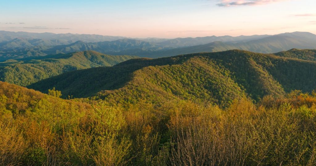 Best Hikes in Unicoi County