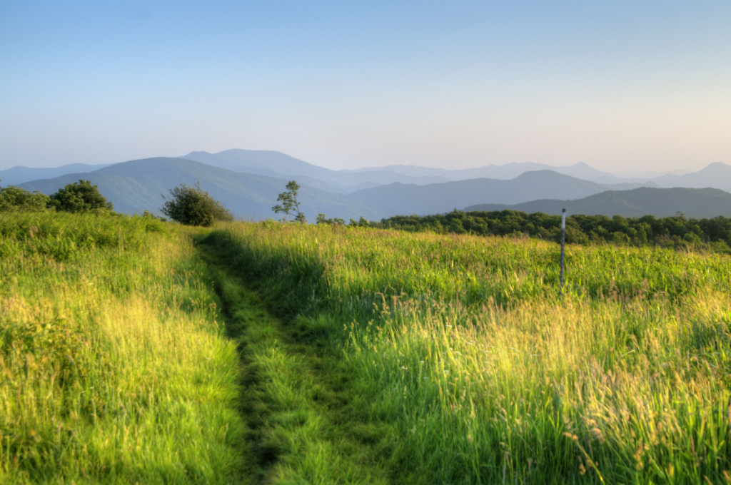 Tennessee Applachian Trail Beauty Spot